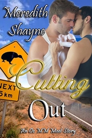 Individual cover_185